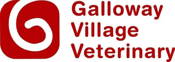 Galloway Village Veterinary Logo