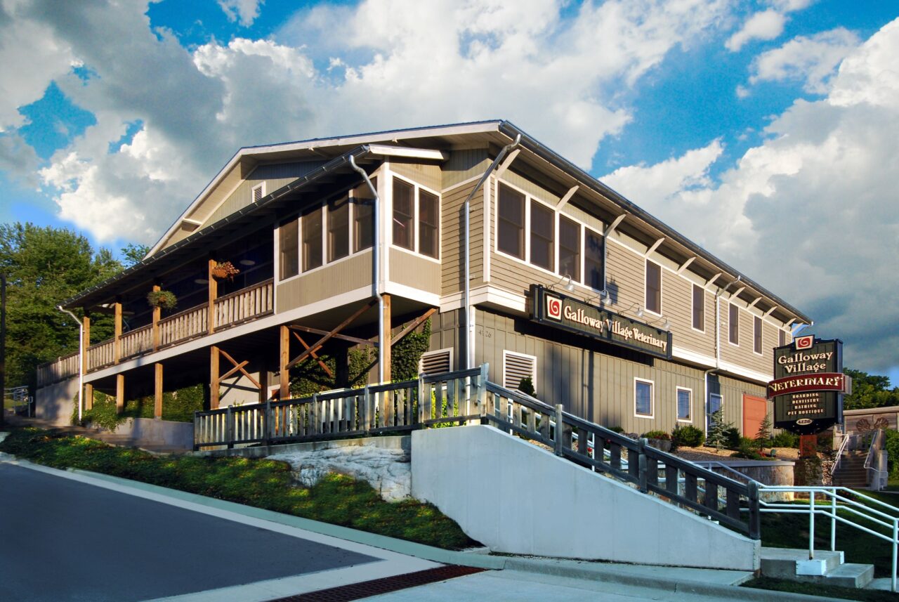 Best Veterinary Hospital Springfield, MO Galloway Village