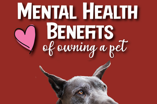 Mental Health Benefits of Owning a Pet